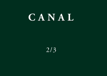 Curatorías del tiempo. Primer excedente